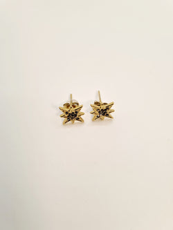 Boucles d'oreilles Star