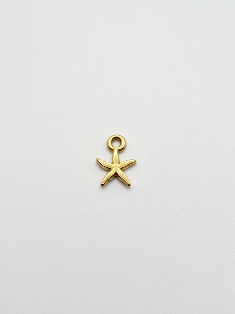 Mini étoile de mer